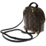 Louis Vuitton Monogram Palm Springs Backpack Mini Bag M41562 Brown